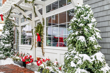 Winter in New England