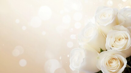 White rose bouquet close up