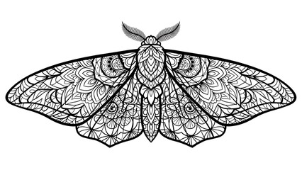 Intricate moth design with floral patterns and swirling details