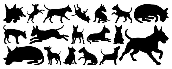 Bull Terrier Dog Silhouettes Collection in Various Poses Isolated on Transparent Background