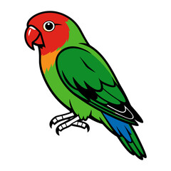 Red-faced Lovebird Vector Illustration © Anandaputra