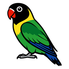 Black-collared Lovebird Vector Illustration © Anandaputra
