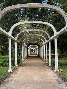 Jardim botanico do Rio de Janeiro com carramanch&atilde;o para plantas