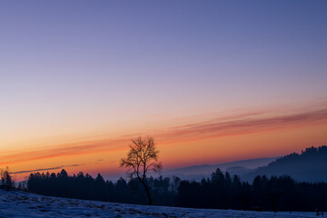 Early morning. Snow covered landscape in austria with a single tree in the sunrise.