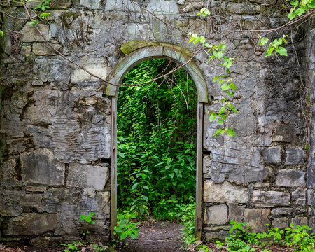 Background of an old stone block wall with an arched doorway to a green vine covered wall - Powered by Adobe