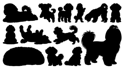 Cute Shih Tzu Dog Silhouette Set in Various Poses Isolated on Transparent Background
