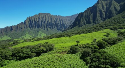 Lush green valley with dramatic jagged mountains under a clear blue sky