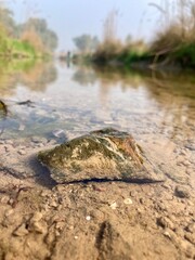 stream with moss-covered stone, calm essence of the outdoors and its natural beauty. river clear water reflecting the sky. foreground moss covered stone at the water's edge.