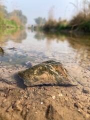 stream with moss-covered stone, calm essence of the outdoors and its natural beauty. river clear water reflecting the sky. foreground moss covered stone at the water's edge