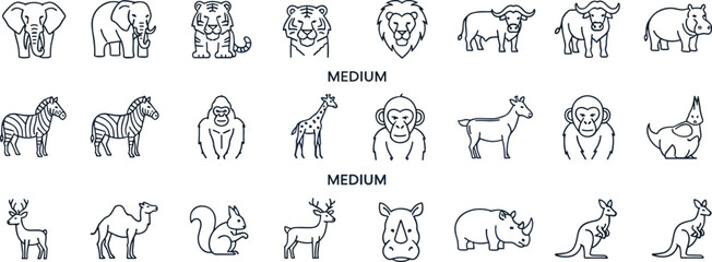 Minimal line animal icon set featuring wild safari mammals, zoo animals, outline vector illustrations for design, branding, and educational projectsWeb