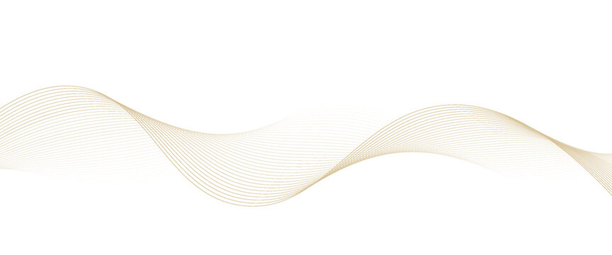 Luxury abstract gold wavy line pattern (guilloche curves) with copy space. Elegant golden color smooth gradient on white background. Premium vector striped texture for banner, business backdrop.