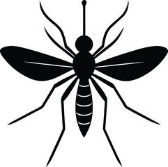dragonfly vector illustration