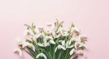 Obraz premium Overhead shot of delicate white snowdrop flowers arranged on a soft pink background. Floral, fresh spring blossoms for a romantic, tender and natural look.