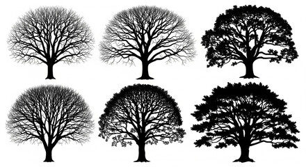 Obraz premium Artistic detailed tree silhouette vector pack with natural forest shapes