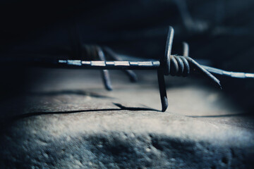 Close-up of barbed wire representing totalitarian control, repression, censorship, fear, and restricted human rights.