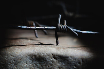 Barbed wire as a symbol of totalitarian regime, oppression, control, political violence, loss of freedom, and authoritarian power.