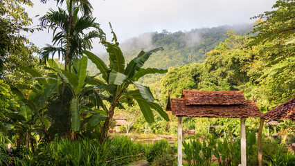 Traditional garden pavilion surrounded by lush tropical vegetation in northern Thailand