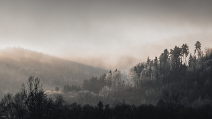 Moosy landscape in winter with a dramatic sky