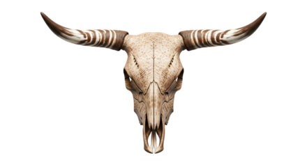Abstract patterned animal skull with textured surface on a transparent background