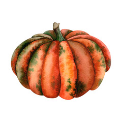 Vibrant Watercolor Pumpkin for Fall Decor