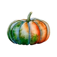 Watercolor Autumn Pumpkin Illustration