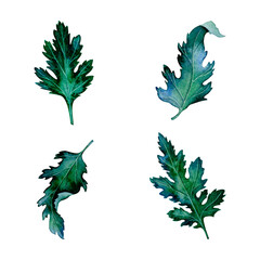 Botanical Watercolor Green Leaves Collection