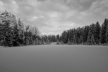 Black and white winter landscape with snow-covered forest surrounding a frozen open field. Calm fine art scenery with soft light, symmetry, and a quiet, minimal atmosphere