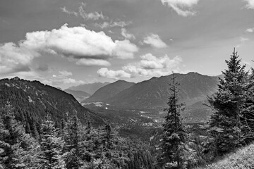 Black and white mountain landscape with forested valleys and layered alpine peaks under a dramatic sky. Timeless fine art scenery capturing wilderness, depth, and natural serenity