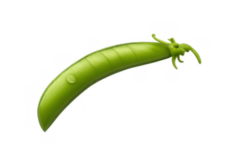 Fresh green pea pod with water droplet, isolated on transparent background, symbolizing healthy organic vegetarian food