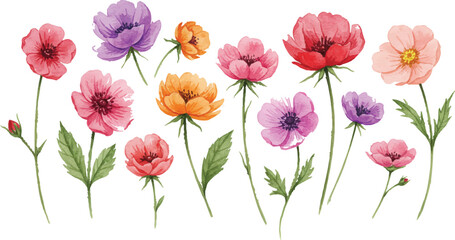 Vibrant flowers in full bloom, a colorful illustration of nature's beauty from a top-down viewpoint