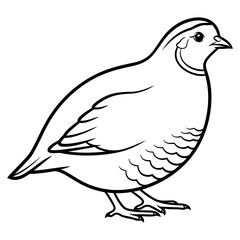 Fototapeta premium Digital vector file illustration for versatile graphic design projects and scalable artwork