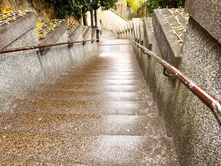 Wet stone staircase in urban park with autumn leaves