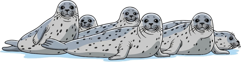 An illustration of a group of six spotted seals with various grey tones on a light blue ground © Goliath