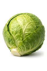 Fototapeta premium Giant Brussels sprout isolated on white background