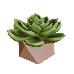 A small green succulent plant in a pink geometric pot