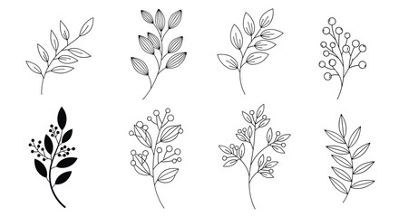 Set of various botanical sketches including branches, leaves, and berries in both line art and black silhouettes.