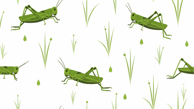 Green Grasshoppers on White Background Illustration.