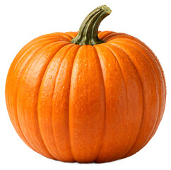 Obraz premium Huge pumpkin isolated