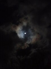 冬の月夜　雲間の月