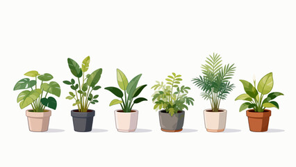 Obraz premium Potted plants in various pots