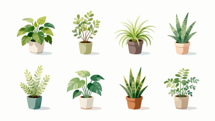 Illustration of eight potted plants © Canis