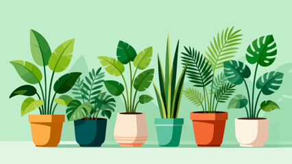 Potted plants in colorful pots © Canis