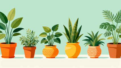 Obraz premium Potted plants in colorful pots