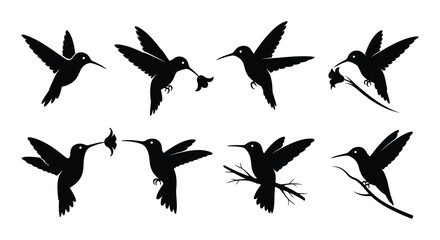 Silhouettes of hummingbirds in flight a graceful and dynamic avian display © Nayem