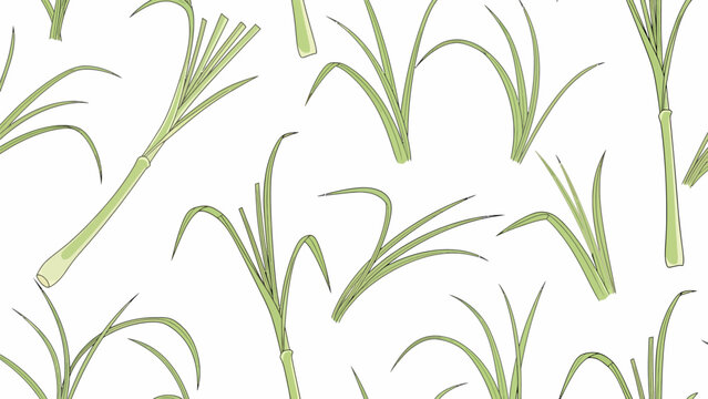 Green Bamboo Shoots on White Background.