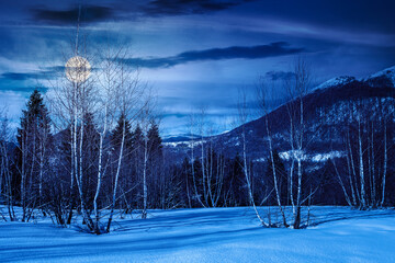 winter landscape at night. deciduous forest on snow covered hill in full moon light. beautiful scenery of park under blue sky for travel background. backdrop for fiction art or mystery concepts