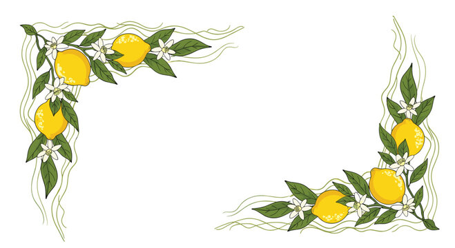 Beautiful corner border decorations featuring ripe yellow lemons on green leafy branches with white blossoms for citrus designs.