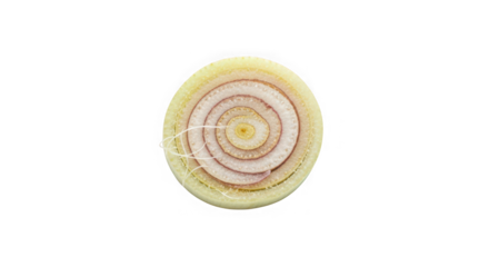 Crosssection of a lemongrass stalk showing concentric rings of transparent