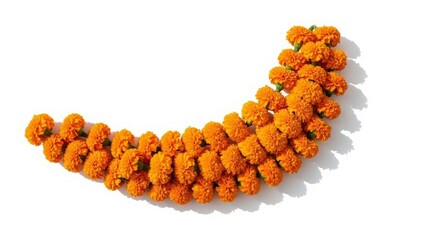 Orange Marigold Flower Garland Arranged in a Crescent Shape on White floral