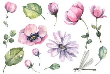 Watercolor floral spring set isolated on white background - blooming pink flowers, flower buds, petals and various green leaves. Watercolor hand painted spring botany